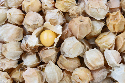 Groundcherries