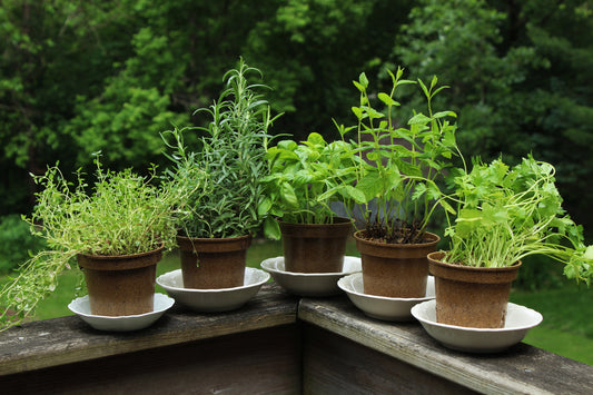 Herb garden pots