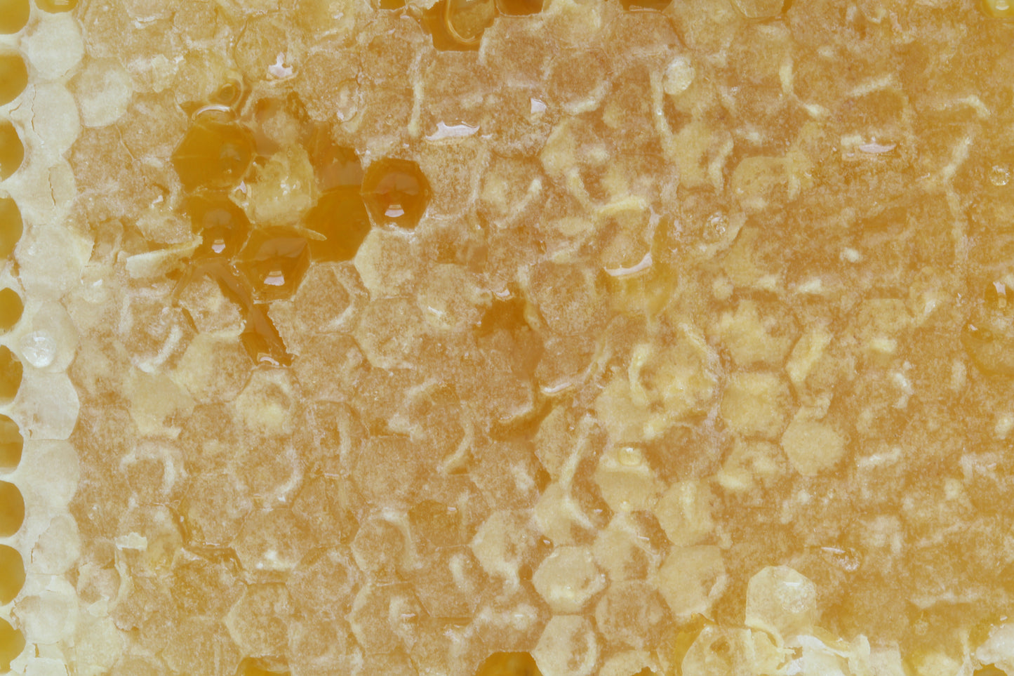 Honeycomb