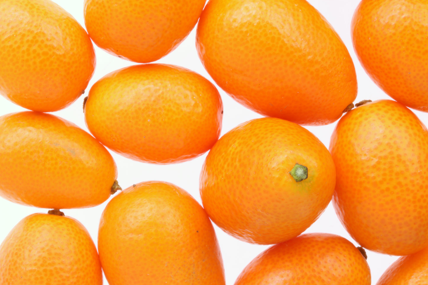 Kumquats background