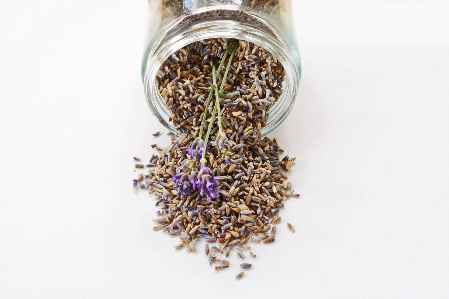 Lavender harvest