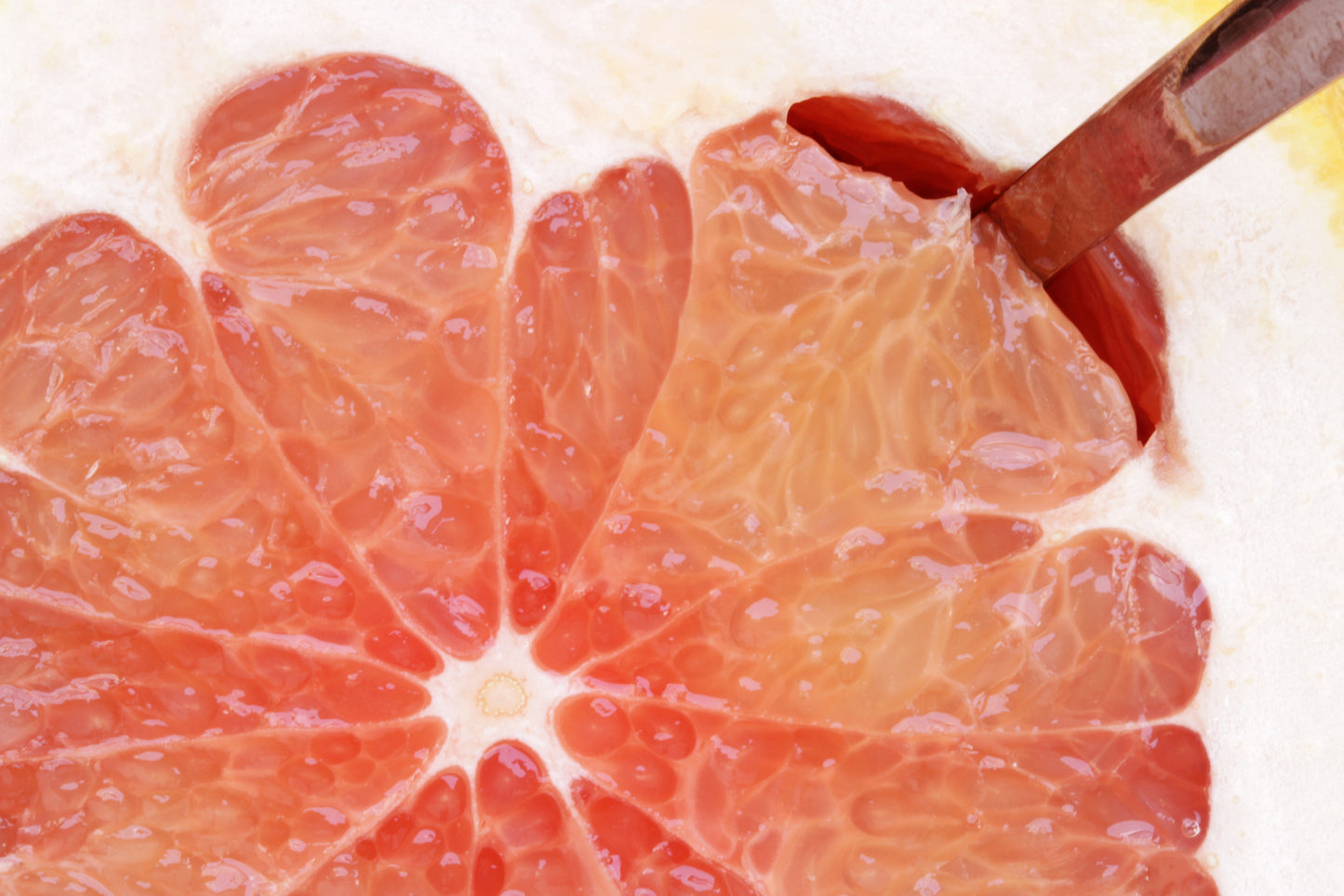 Macro grapefruit meal