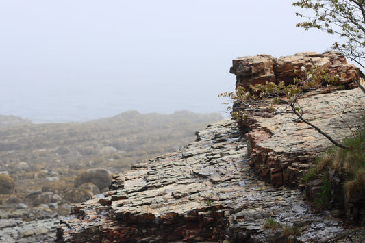 Maine granite cliffs