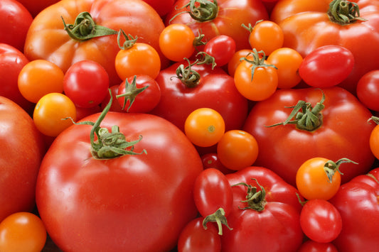 Mixed tomatoes background