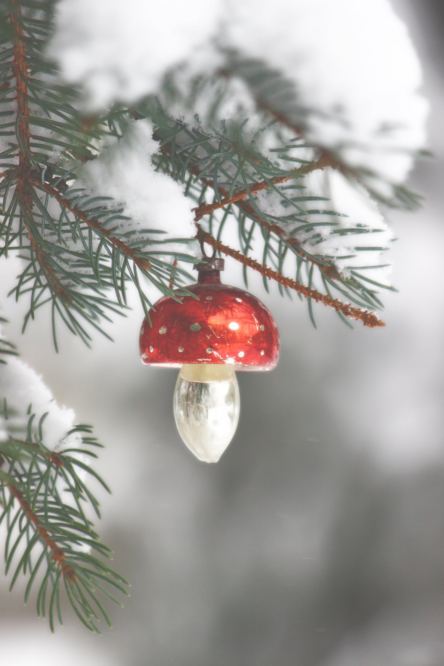 Merry mushroom