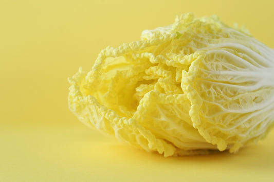 Napa Cabbage still life