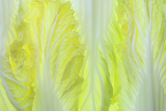 Napa Cabbage background