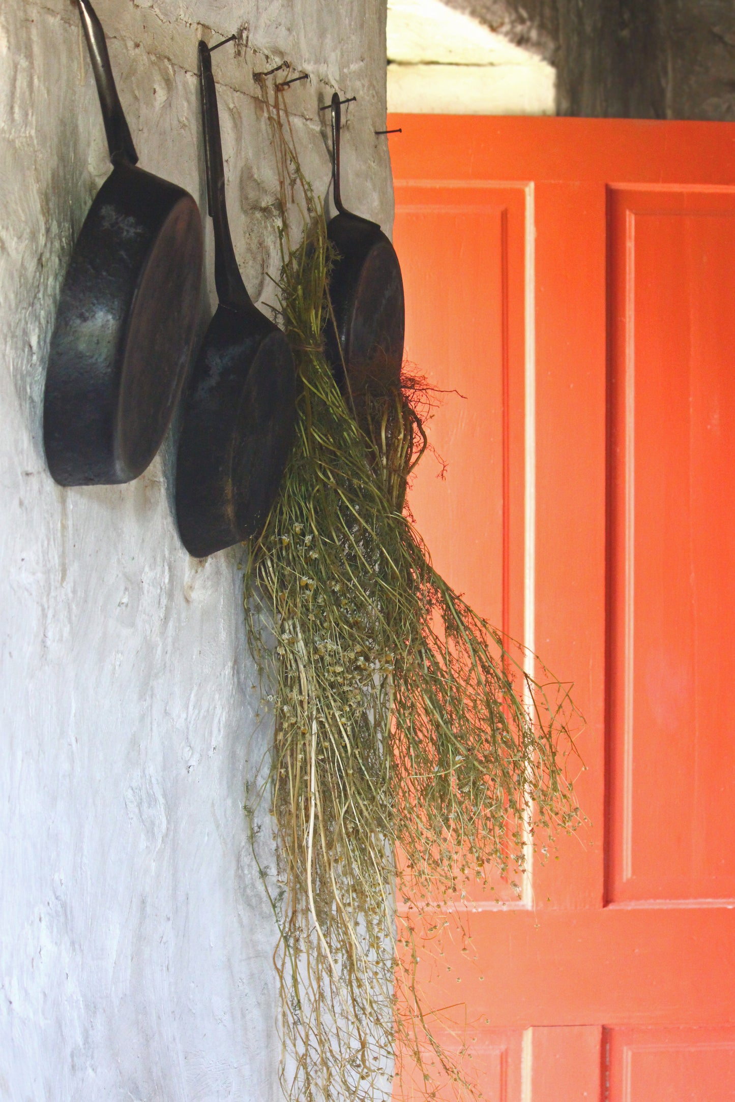 Orange door