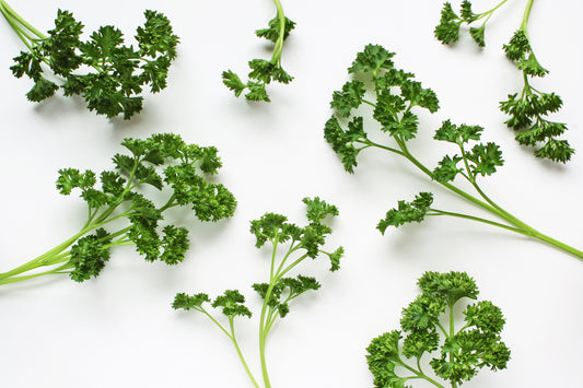 Parsley still life