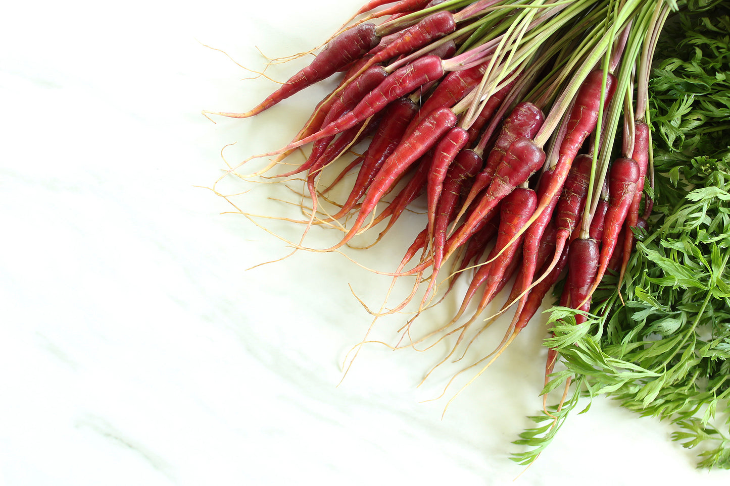 Purple carrots