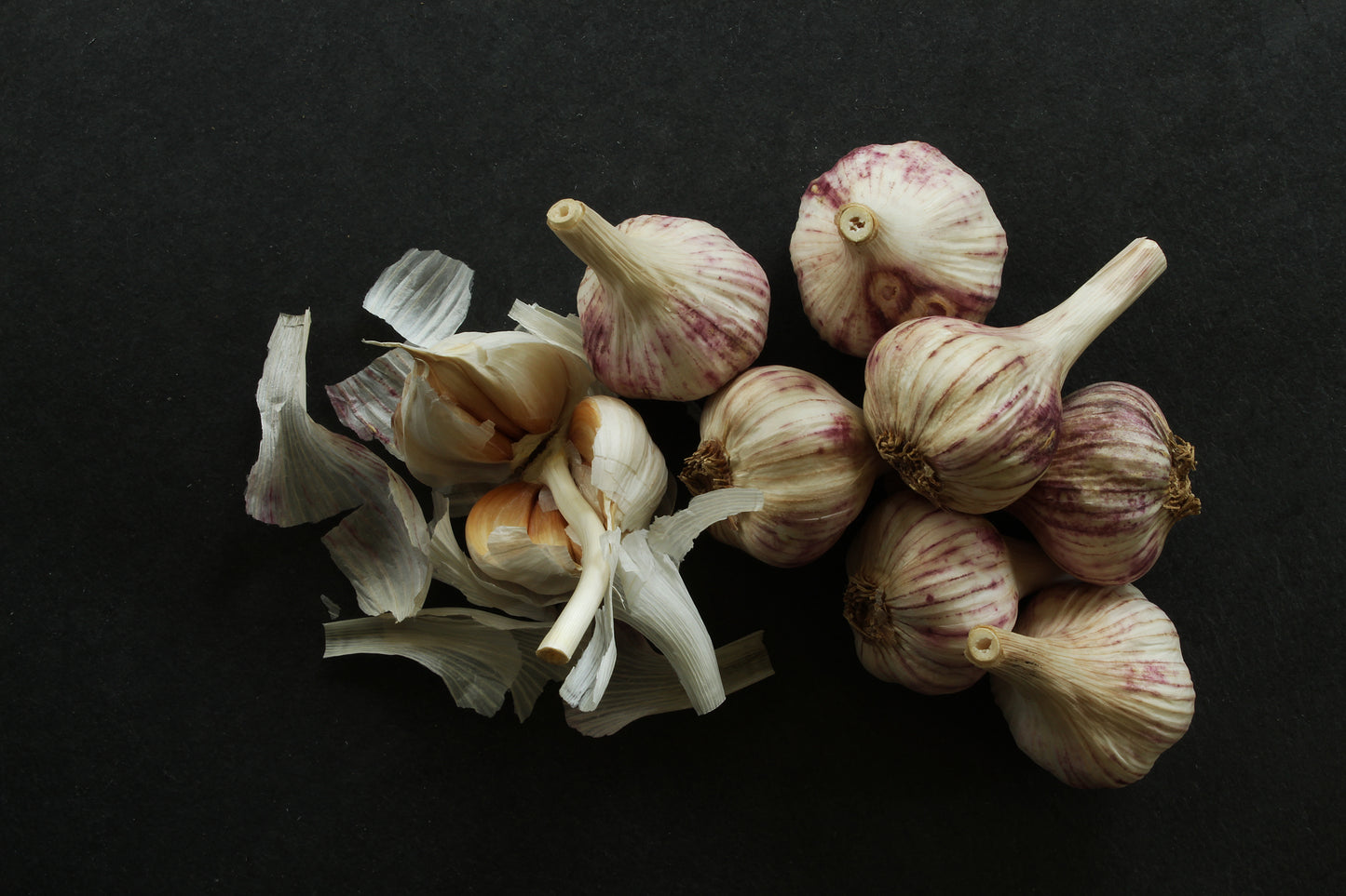 Garlic still life