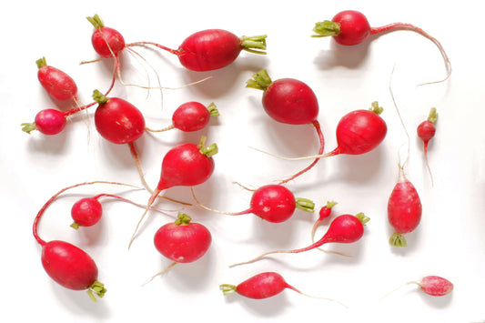 Red radishes