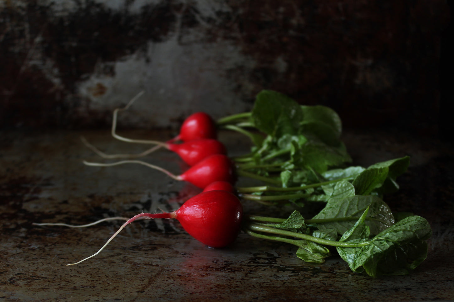 Radishes bunches