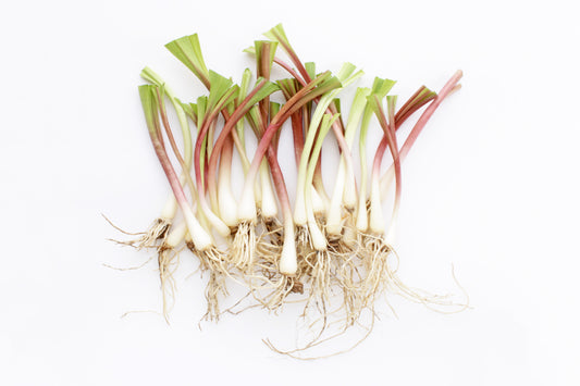 Ramps bunch