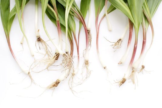 Ramps still life