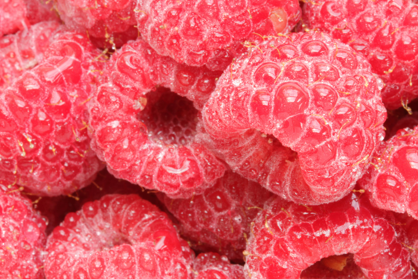 Macro raspberries