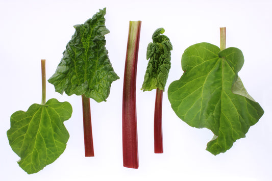 Rhubarb still life