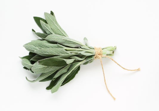 Sage bunch white still life