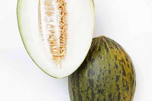 Santa Claus Melon