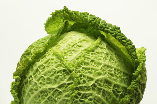 Savoy cabbage on white