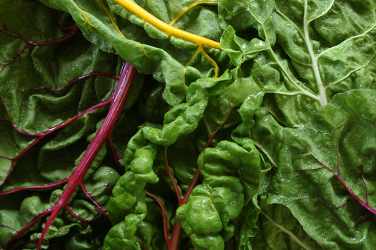 Swiss chard greens