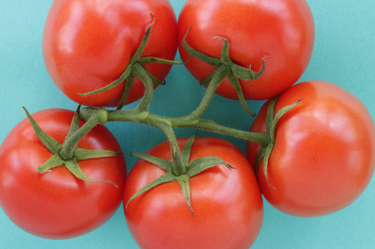 Circle of tomatoes