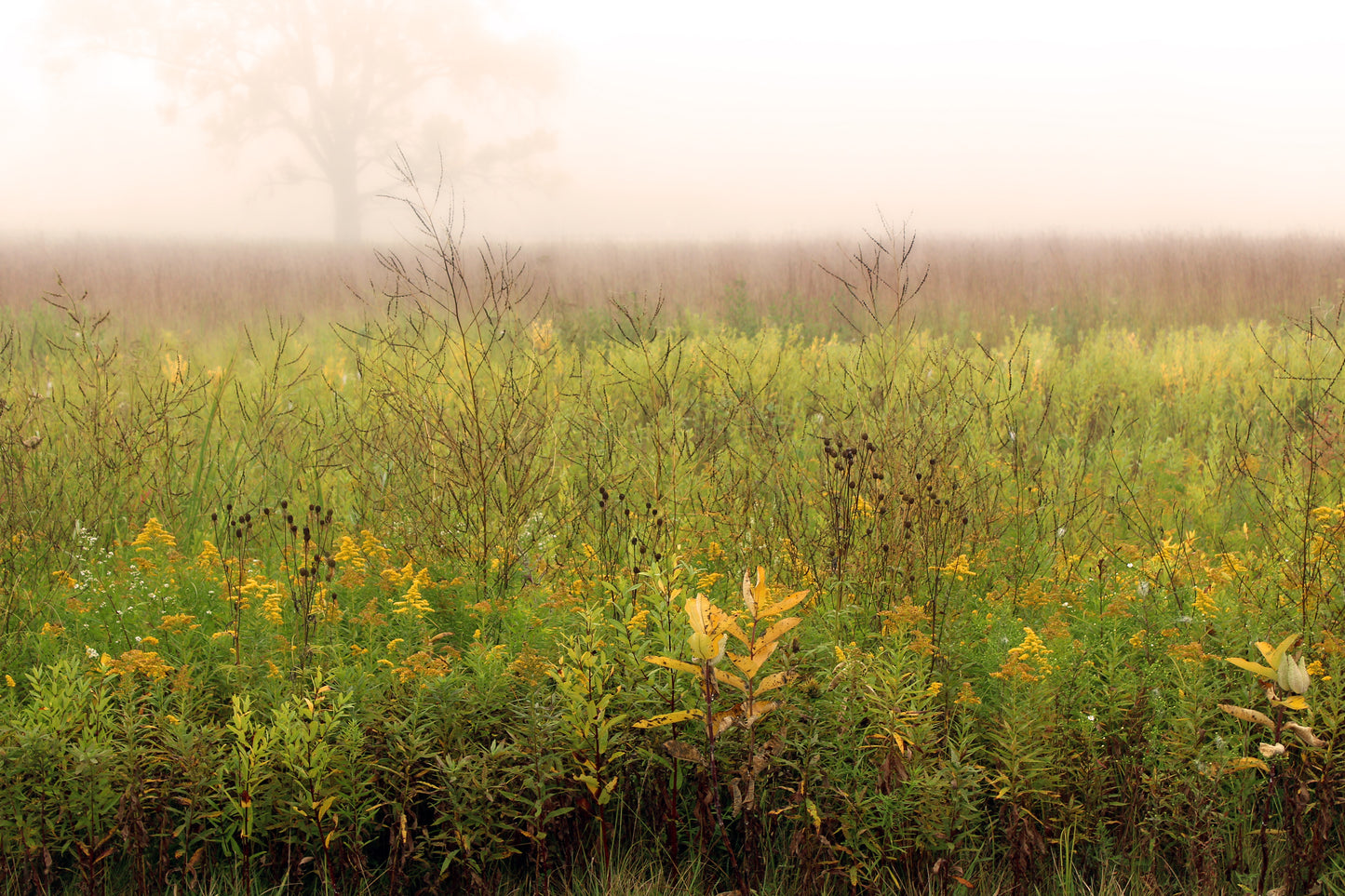 Autumn on the Kettle Moraine Prairie