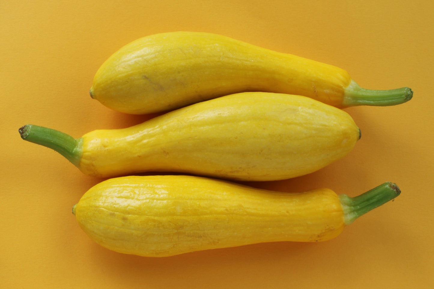 Yellow  zucchini