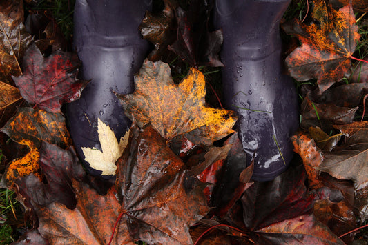 Fall walk in the leaves