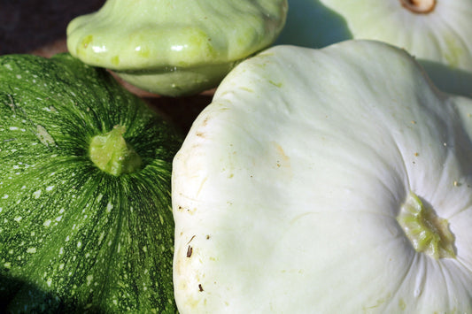 Patty pan squash