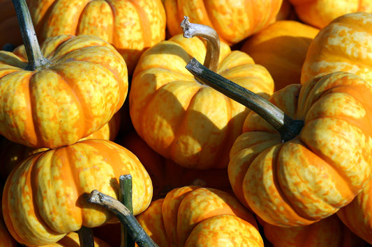 Decorative gourds
