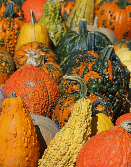 Bumpy gourds