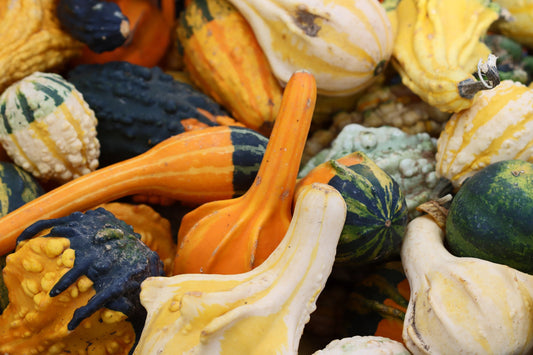 Gourd collection